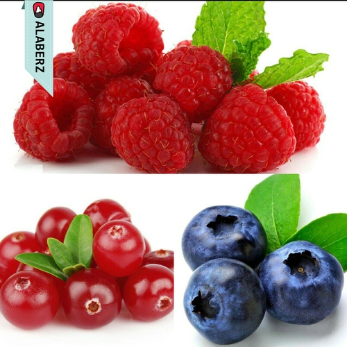 کوهنوردان چگونه باید غذاهای خود را انتخاب کنند؟